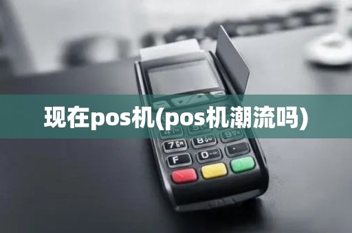 现在pos机(pos机潮流吗)