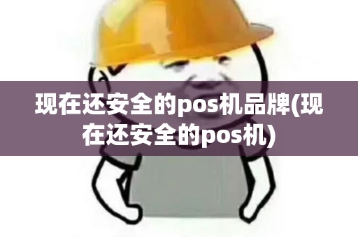 现在还安全的pos机品牌(现在还安全的pos机) 现在还安全的pos机品牌(现在还安全的pos机)