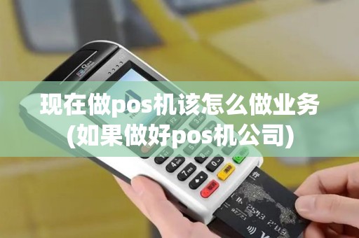 现在做pos机该怎么做业务(如果做好pos机公司)