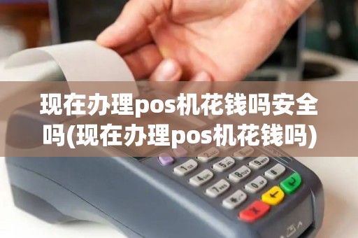 现在办理pos机花钱吗安全吗(现在办理pos机花钱吗) 现在办理pos机花钱吗安全吗(现在办理pos机花钱吗)