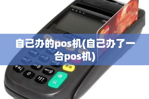 自己办的pos机(自己办了一台pos机)
