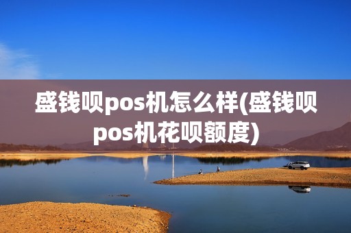 盛钱呗pos机怎么样(盛钱呗pos机花呗额度)