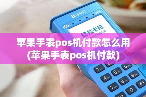 苹果手表pos机付款怎么用(苹果手表pos机付款)