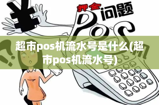 超市pos机流水号是什么(超市pos机流水号)
