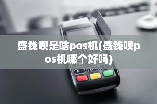 盛钱呗是啥pos机(盛钱呗pos机哪个好吗)