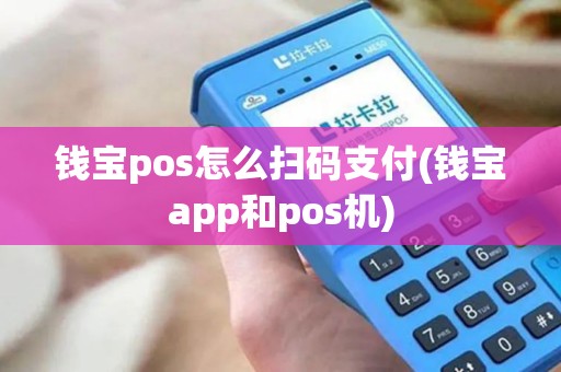 钱宝pos怎么扫码支付(钱宝app和pos机)