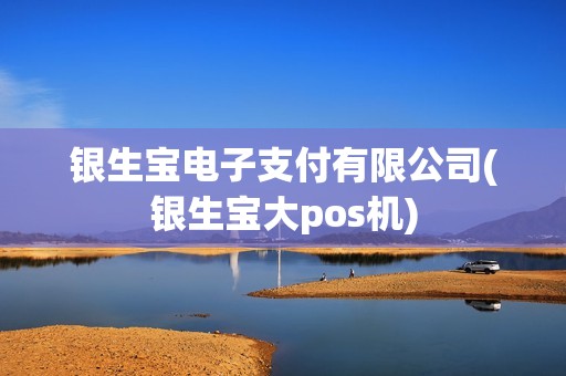 银生宝电子支付有限公司(银生宝大pos机) 银生宝电子支付有限公司(银生宝大pos机)