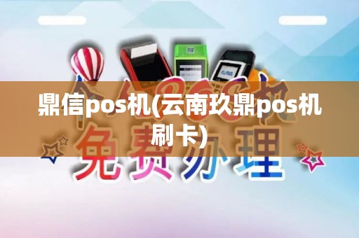 鼎信pos机(云南玖鼎pos机刷卡)