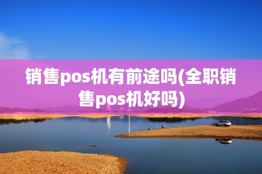 销售pos机有前途吗(全职销售pos机好吗)