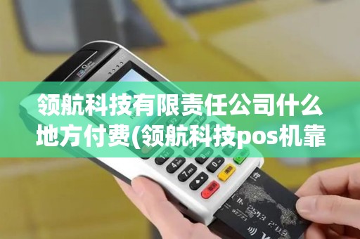 领航科技有限责任公司什么地方付费(领航科技pos机靠谱吗)