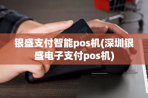 银盛支付智能pos机(深圳银盛电子支付pos机)