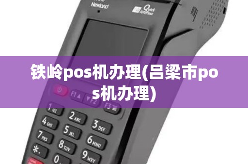 铁岭pos机办理(吕梁市pos机办理)