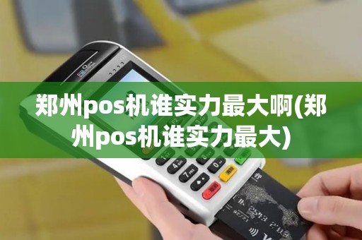 郑州pos机谁实力最大啊(郑州pos机谁实力最大)