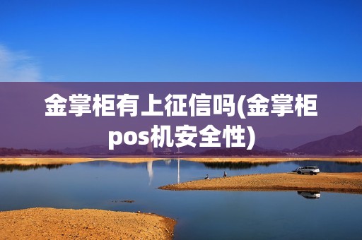金掌柜有上征信吗(金掌柜pos机安全性)