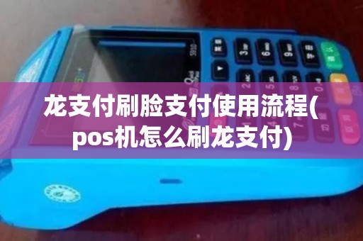 龙支付刷脸支付使用流程(pos机怎么刷龙支付)