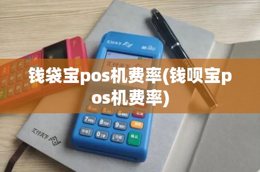 钱袋宝pos机费率(钱呗宝pos机费率)