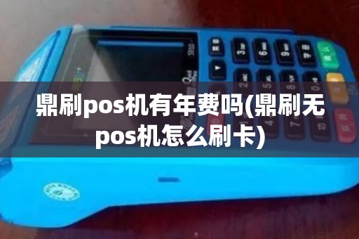 鼎刷pos机有年费吗(鼎刷无pos机怎么刷卡)