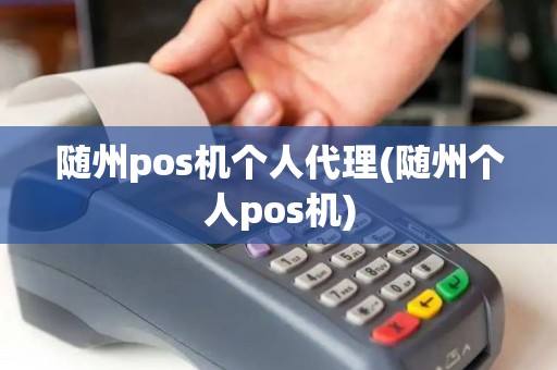 随州pos机个人代理(随州个人pos机)