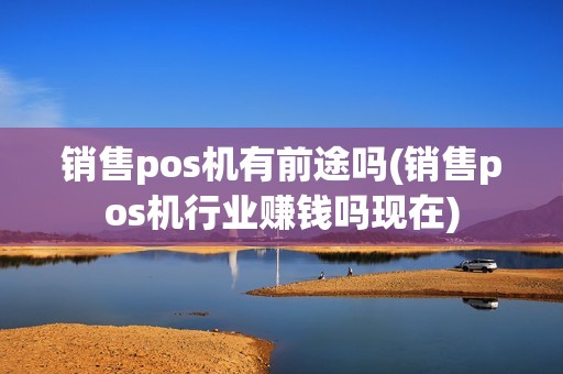 销售pos机有前途吗(销售pos机行业赚钱吗现在)