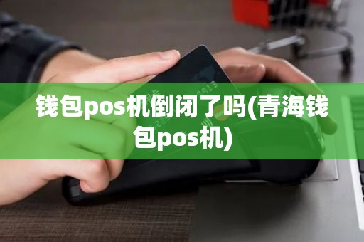 钱包pos机倒闭了吗(青海钱包pos机)