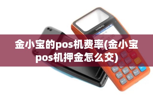 金小宝的pos机费率(金小宝pos机押金怎么交)
