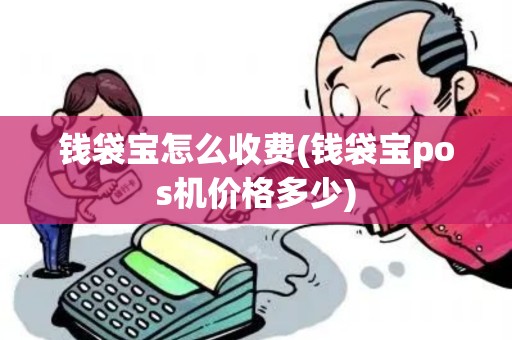 钱袋宝怎么收费(钱袋宝pos机价格多少)