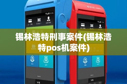 锡林浩特刑事案件(锡林浩特pos机案件)