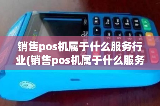 销售pos机属于什么服务行业(销售pos机属于什么服务)