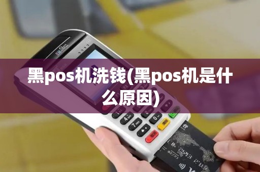 黑pos机洗钱(黑pos机是什么原因)