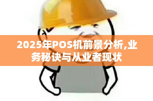 2025年POS机前景分析,业务秘诀与从业者现状