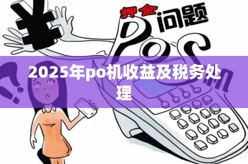 2025年po机收益及税务处理 2025年po机收益及税务处理