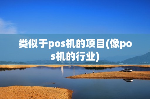 类似于pos机的项目(像pos机的行业)