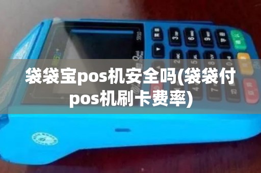 袋袋宝pos机安全吗(袋袋付pos机刷卡费率)