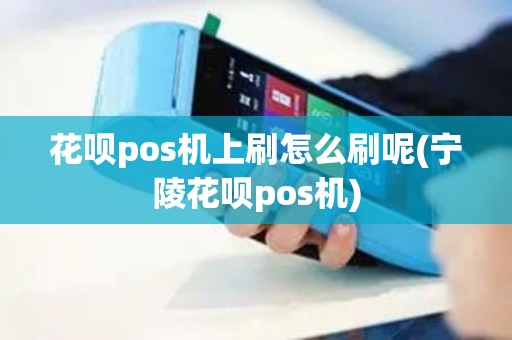 花呗pos机上刷怎么刷呢(宁陵花呗pos机)