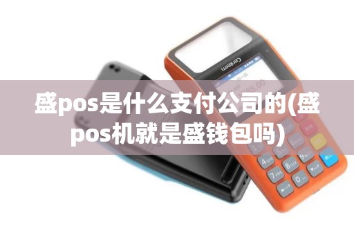盛pos是什么支付公司的(盛pos机就是盛钱包吗)
