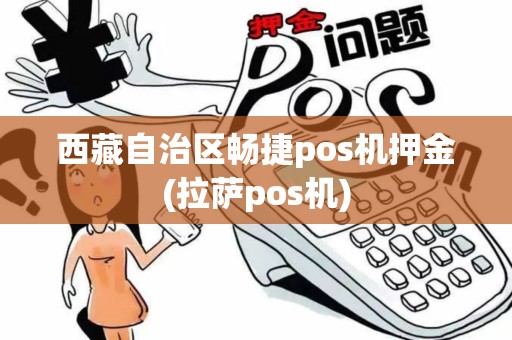 西藏自治区畅捷pos机押金(拉萨pos机)