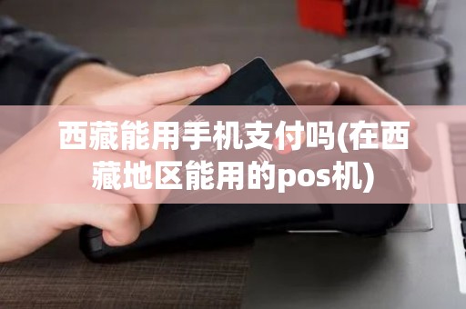 西藏能用手机支付吗(在西藏地区能用的pos机)