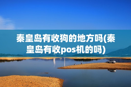 秦皇岛有收狗的地方吗(秦皇岛有收pos机的吗)
