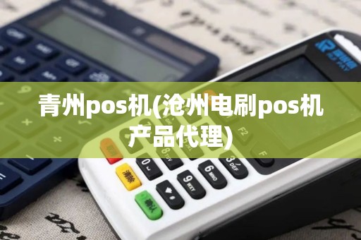 青州pos机(沧州电刷pos机产品代理) 青州pos机(沧州电刷pos机产品代理)