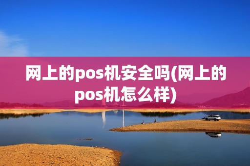 网上的pos机安全吗(网上的pos机怎么样)