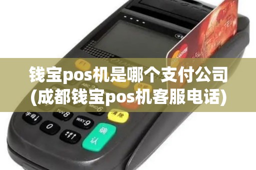 钱宝pos机是哪个支付公司(成都钱宝pos机客服电话)