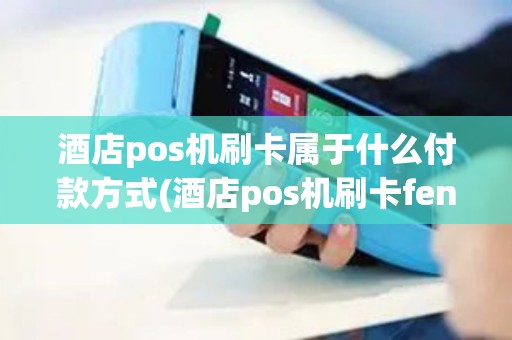 酒店pos机刷卡属于什么付款方式(酒店pos机刷卡fenlu)