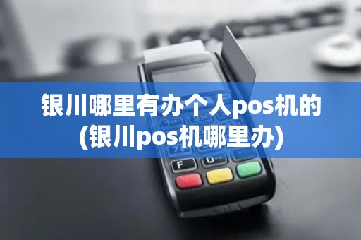 银川哪里有办个人pos机的(银川pos机哪里办)