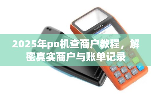 2025年po机查商户教程,解密真实商户与账单记录 2025年po机查商户教程,解密真实商户与账单记录