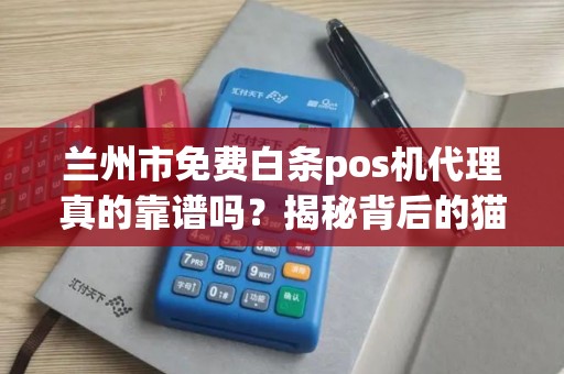 兰州市免费白条pos机代理真的靠谱吗？揭秘背后的猫腻！