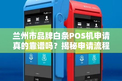 兰州市品牌白条POS机申请真的靠谱吗？揭秘申请流程与避坑指南！