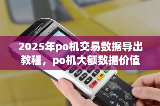 2025年po机交易数据导出教程，po机大额数据价值