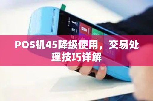 POS机45降级使用,交易处理技巧详解 POS机45降级使用,交易处理技巧详解