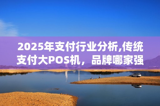 2025年支付行业分析,传统支付大POS机，品牌哪家强