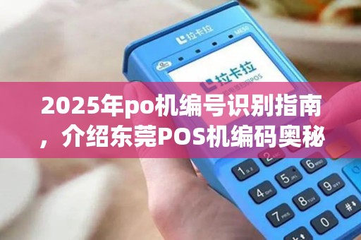 2025年po机编号识别指南,介绍东莞POS机编码奥秘 2025年po机编号识别指南,介绍东莞POS机编码奥秘